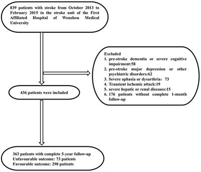 Early-Onset Depression in Stroke Patients: Effects on Unfavorable Outcome 5 Years Post-stroke